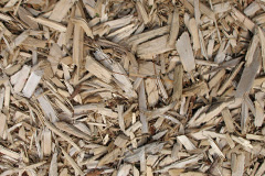 biomass boilers Rhosybol